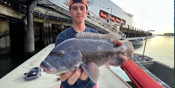 UPDATE: Fall Fishing Is Hot 🔥 North Shore For Blackfish-South Shore For Bass • Measuring A Striped Bass