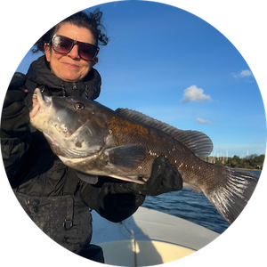 Fantastic Fall Fishing Continues • Blackfish-Blues-Bass And Beyond •Blackened Blackfish Recipes