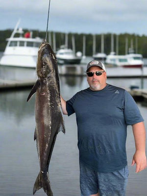 '2024 Cobia Have Been Spotted In The Local Waters Around Long Island