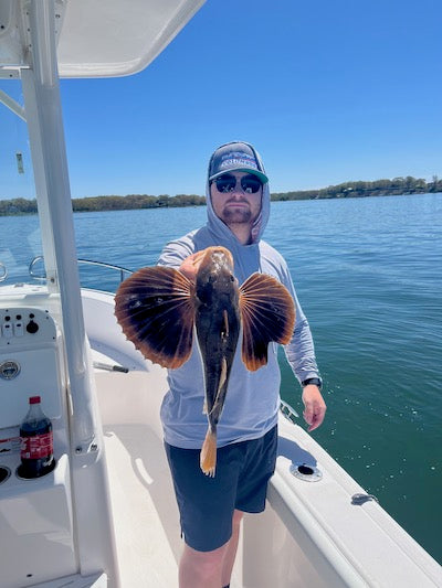 Sea Robins-Fun To Catch • Great Eating Too!!