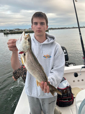 Fall Weakfish Have Arrived In Local Waters